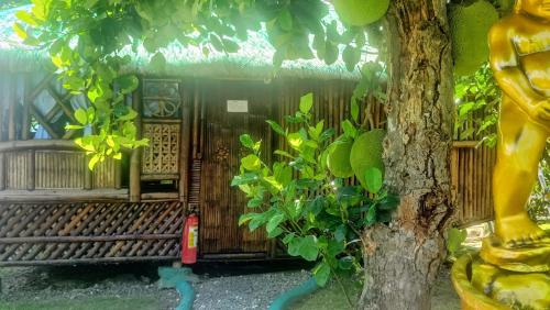 Bamboo House Resort