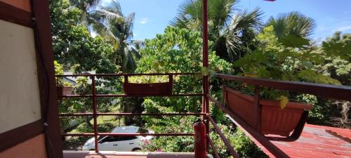 Mango House Apartments