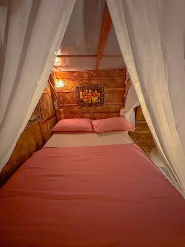 Remy's Nest