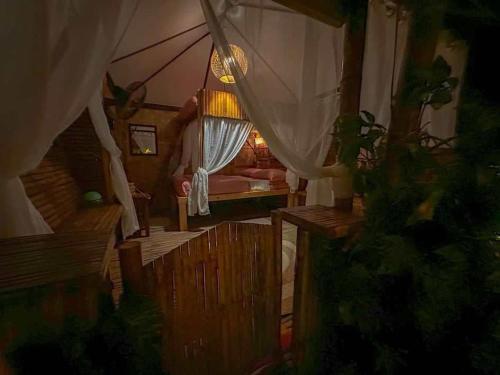 Remy's Nest