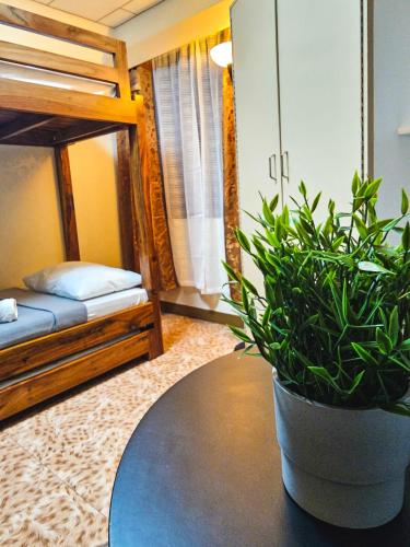 Mirador Modern House - Walking distance to Lourdes Grotto