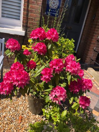 Carena House Bed & Breakfast