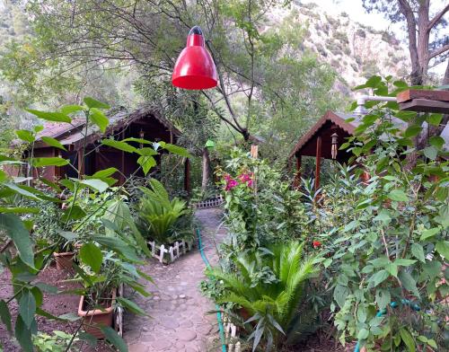 Canario Pension Bungalow