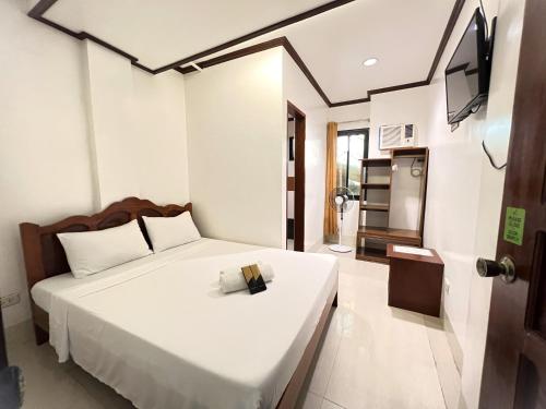 Alocasia Hostel