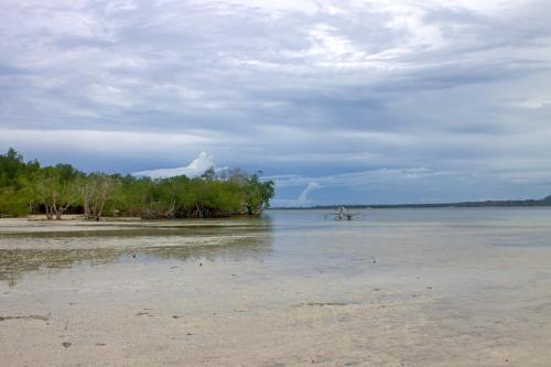 Deep Forest Garden Hotel