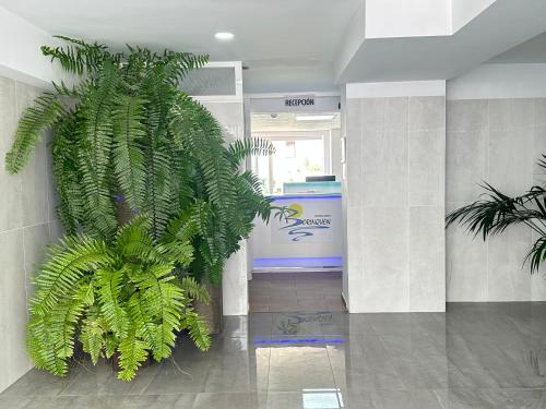 Apartamentos Borinquen
