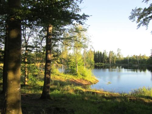 Ullared Paradise