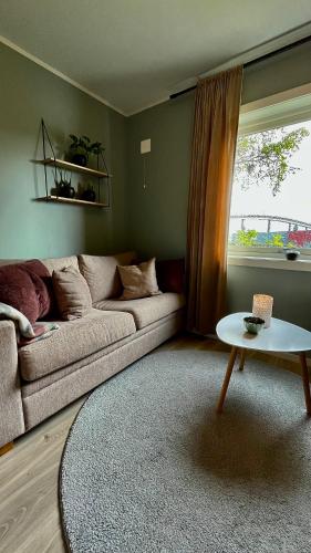 Strøken liten leilighet i Svolvær.