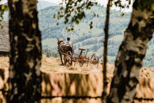 Matca Transylvanian Sanctuary