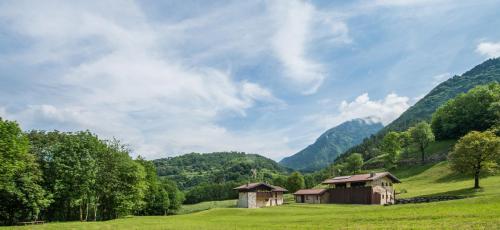 Azienda Agricola Quader