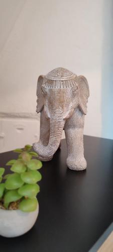 201 Studio Historique à Colombages