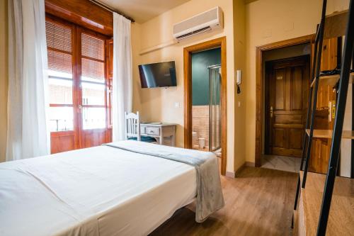 Veronica Centro Hostal