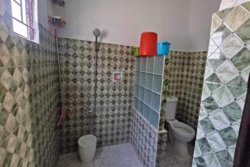 Alberts Transient House