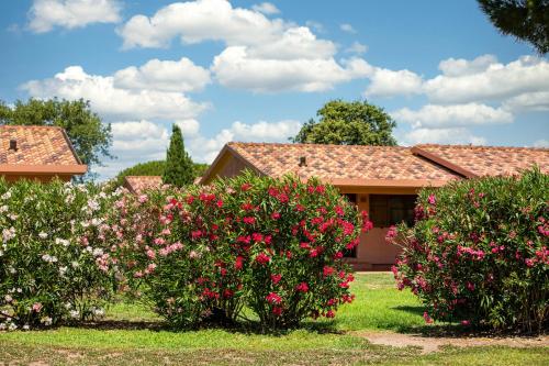 Gitavillage California