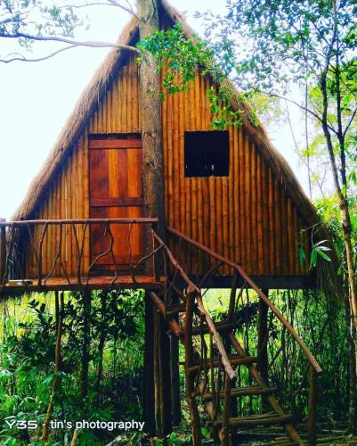 Sanctuaria Treehouses Busuanga