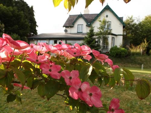 Robin Hill House