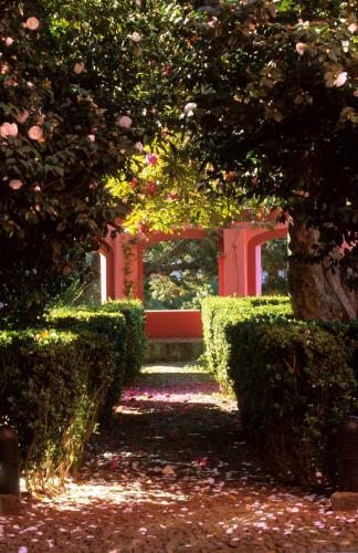 Quinta da Serra - Bio Hotel