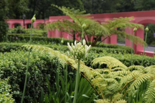 Quinta da Serra - Bio Hotel