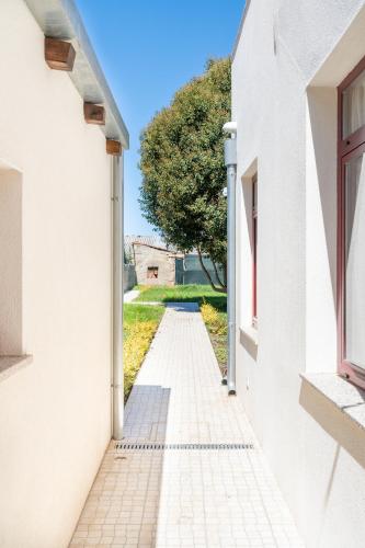 VIVA Serralves Vintage House