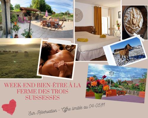 Ferme des 3 Suissesses
