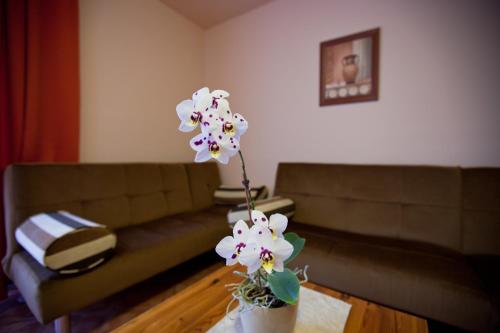 Tornácos Ház - Hegyko