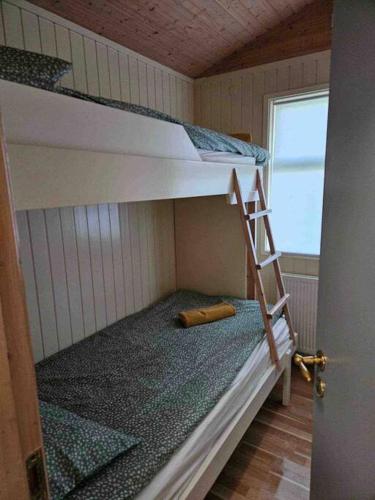 辛格维德利尔湖畔小屋2号（Lakeside Cabin in Thingvellir #2）