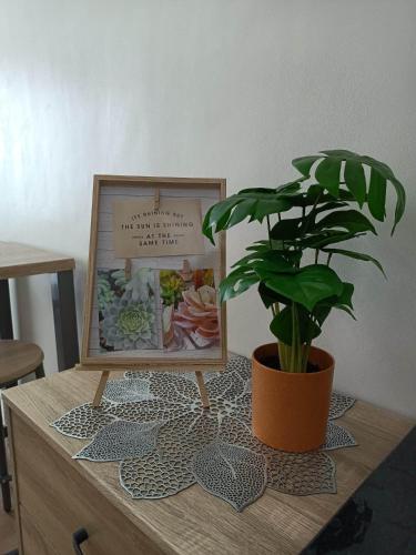 Downtown Delight Dwelling at Limketkai Center