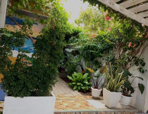 Gardenia House Rent Rooms