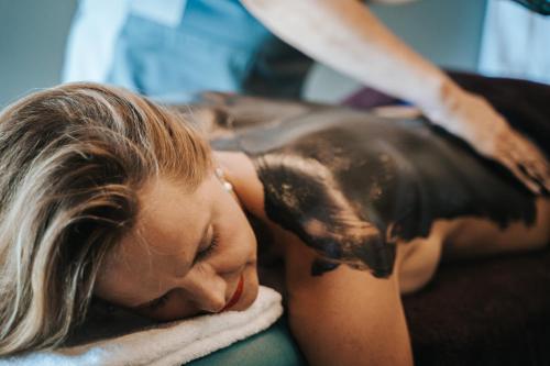 Spa Hotel Laine