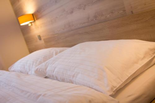 Hotel Freud
