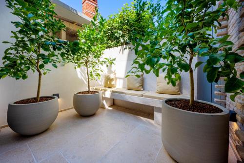 Spirito Santo Palazzo Storico