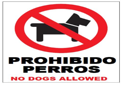 Albergue Camino Santiago Porrino