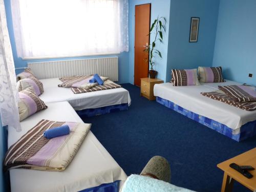 Archivní Vinné Sklepy Penzionu Venuse