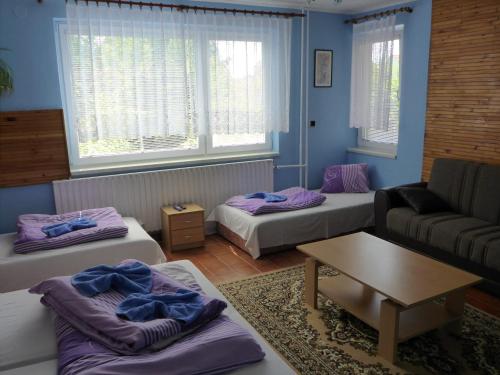 Archivní Vinné Sklepy Penzionu Venuse