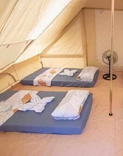 The Acacia Glamping Park