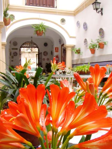 Hostal Maestre
