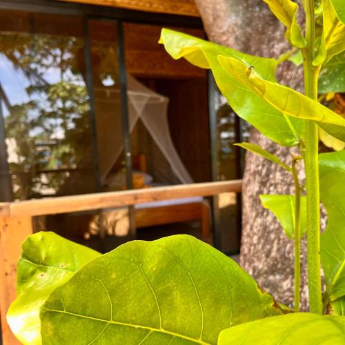 Amami Beachfront Villa with Private Beach