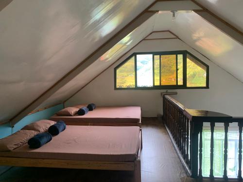 Banaue Transient House Bed and Breakfast