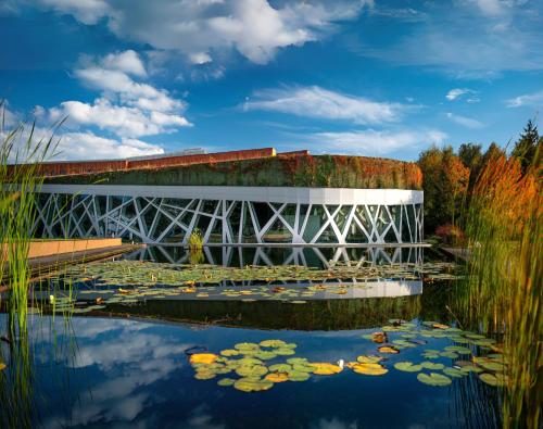 Narvil Conference - Spa