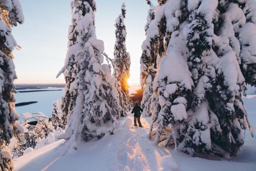 Break Sokos Hotel Koli Kyla