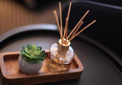 Włodary Tennis Junior