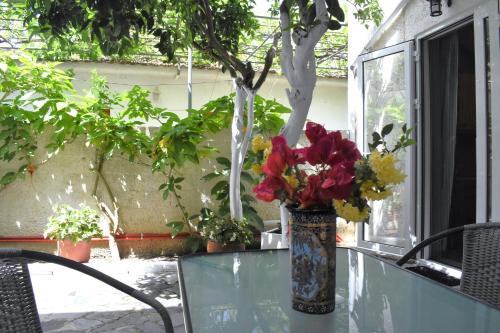 Starvillas Apartments And Studios