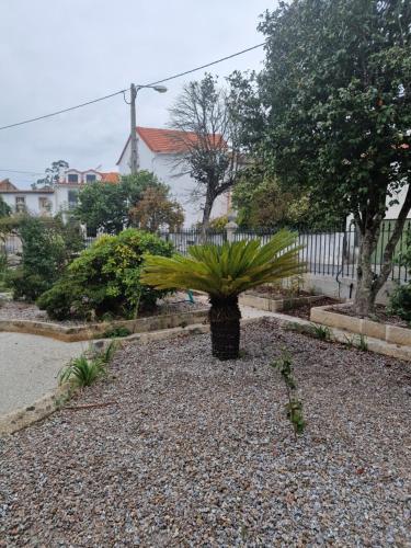 Palace Hotel de Midões