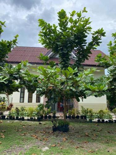 4 Bedrooms Guesthouse with Pool and Mangrove Park