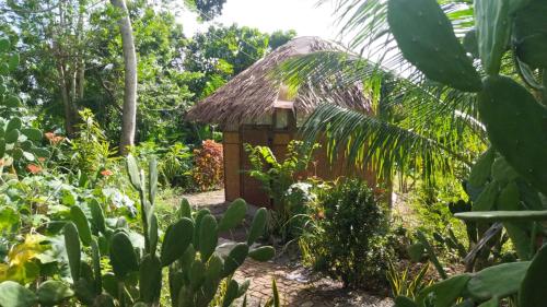 Little Nomads eco-guesthouse