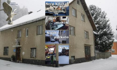 Steinadler apartman kertes ház csendes helyen saját parkolóval kutyabarát