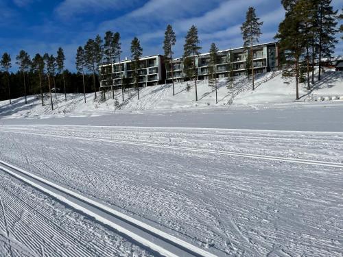 Vuokatti Chalets Aarni