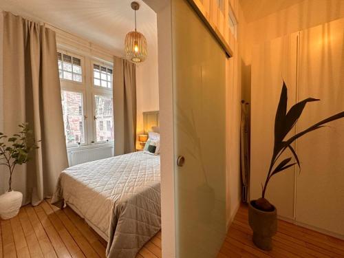 Charmant and Exclusive Apartments im Herzen Saarbrückens