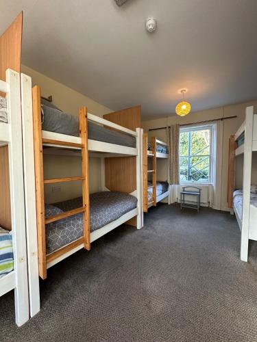 The Grapevine Hostel
