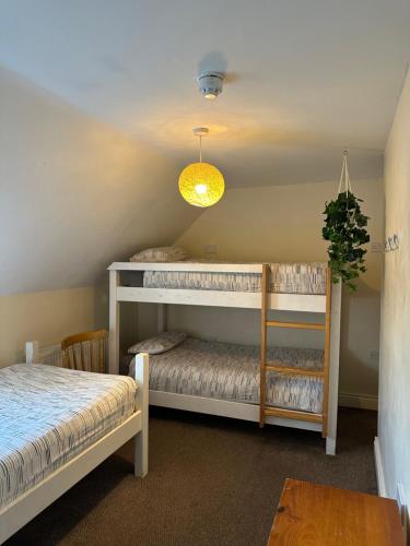 The Grapevine Hostel